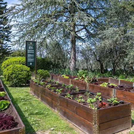 I Barronci & San Casciano in Val di Pesa